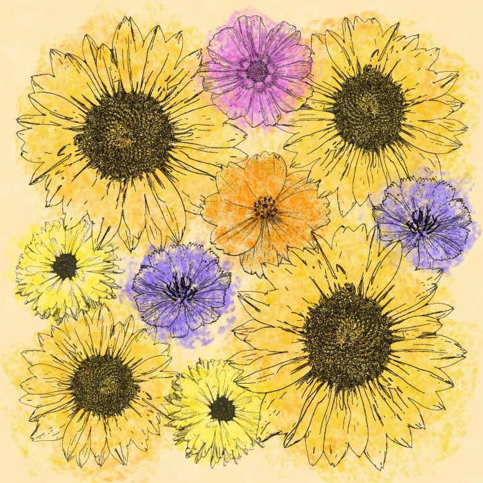 Multi Flower Line Drawing Free Stock Photo - Public Domain Pictures